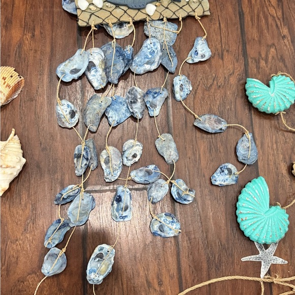 Natural Sea Shell Collection - Assorted Colors - Picture 3 of 4
